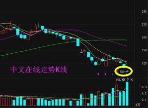 中文在線300364限售股解禁 能否助公司走出低谷，重振互聯(lián)網(wǎng)文化活動？